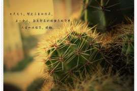 /img/2258.jpg/img/2258.jpg分手后再去挽回会反感吗？深度解析挽回情感的心理与策略/img/2258.jpg/img/2258.jpg