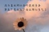 我决定分手挽回：在失去中寻找爱的真谛