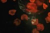 分手后能挽回女生的表现